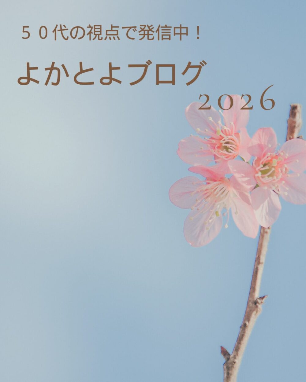 『よかとよブログ』　50代の視点でトレンドや気になる記事を発信中！